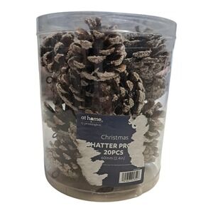 Ty Pennington Christmas Shatrer Proof Pinecones